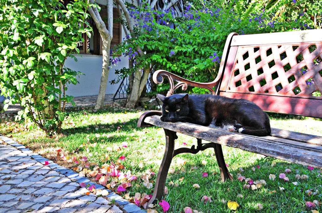 Uma Casa A Beira Sol Bed and Breakfast Lagos Exteriör bild